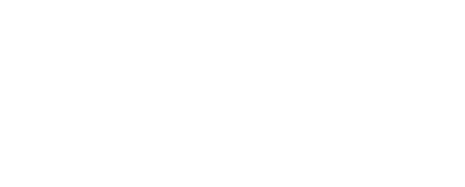 Dragon Riddler logo
